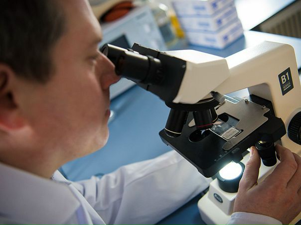 Мышечную ткань можно научить регенерации, доказали эксперименты