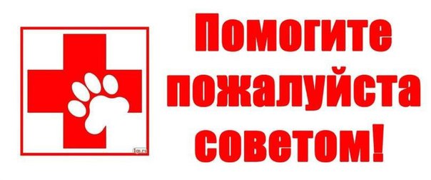 Дорогие травники, лет 10 страдаю запорами, лекарства не помогают, и эффект не тот, могу по 3-5 дней не испытывать желания облегчится! 31 год! Чувствую зашлакованность организма на сто процентов! Постоянно быстро устаю (маленький ребёнок забирает все силы!) Сдавала все анализы! Все в норме, вопрос: как вылечить хронический запор! Как избавится от быстрой переутомляемости С успокоительных сплю! А мне нужна энергия чтобы все успеть! Спасибо за подробные советы)