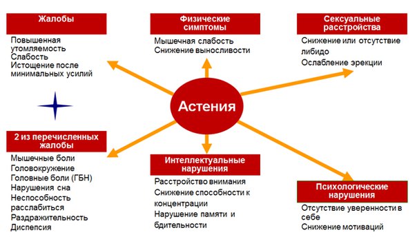 Астения (астенический синдром) — постепенно развивающееся психопатологическое расстройство, сопровождающее многие заболевания организма. Астения проявляется усталостью, снижением психической и физической работоспособности, нарушениями сна, повышенной раздражительностью или наоборот вялостью, эмоциональной неустойчивостью, вегетативными нарушениями. Выявить астению позволяет тщательный опрос пациента, исследование его психо-эмоциональной и мнестической сферы. Также необходимо полное диагностическое обследование для выявления основного заболевания, послужившего причиной астении. Лечится астения подбором оптимального трудового режима и рациональной диеты, применением адаптогенов, нейропротекторов и психотропных препаратов (нейролептики, антидепрессанты) 