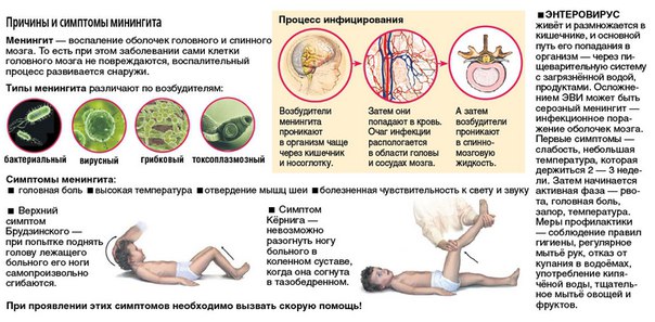 Менингит — воспаление оболочек головного и спинного мозга. Пахименингит — воспаление твердой мозговой оболочки, лептоменингит — воспаление мягкой и паутинной мозговых оболочек. Воспаление мягких оболочек встречается чаще, в таких случаях используют термин «менингит». Его возбудителями могут быть те или иные патогенные микроорганизмы: бактерии, вирусы, грибки; реже встречаются протозойные менингиты. Менингит проявляется сильной головной болью, гиперестезией, рвотой, ригидностью затылочных мышц, типичным положением пациента в постели, геморрагическими высыпаниями на коже. Для подтверждения диагноза менингита и установление его этиологии проводится люмбальная пункция и последующее исследование ликвора. 