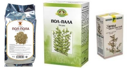 Пол-пола — хирург без скальпеля