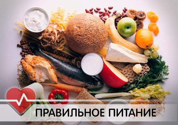 ПРАВИЛА ПИТАНИЯ. 
