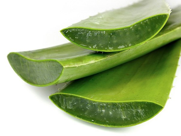 Немного усилий и гастрит побежден! 