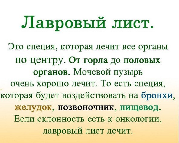 Как можно использовать лавровый лист в лечебных целях 