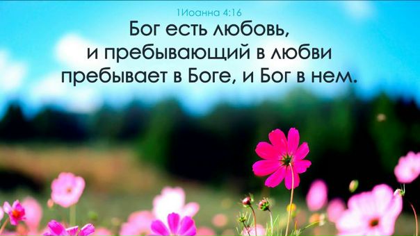 НАВЕРНОЕ, САМАЯ ПРЕКРАСНАЯ ИЗ КНИГ БИБЛИИ.