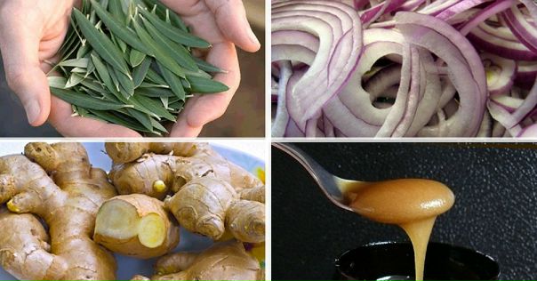 10 ПРИРОДНЫХ АНТИБИОТИКОВ 