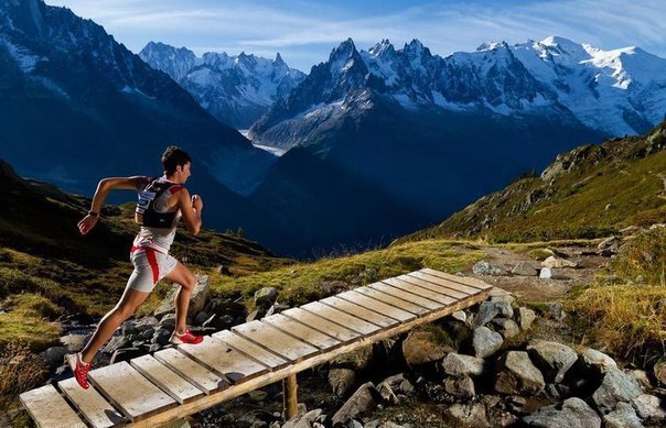 Как превратить цель в привычку 