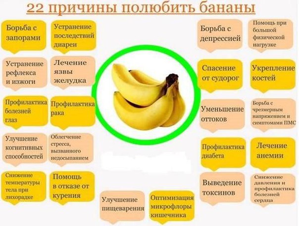 Бананы – еда не просто вкусная, но и чрезвычайно полезная, хотя и довольно калорийная. В 100 г свежих бананов содержится около 200 ккал, а в сушеных фруктах эта цифра достигает почти 300. Однако высокая калорийность бананов – не повод исключать их из меню. Ведь в этих желтых дарах пальмы содержится целый набор разнообразных витаминов: аскорбиновая кислота, витамины группы В, витамин РР, а еще каротин, ферменты и различные микроэлементы. Банан – ценный источник калия и клетчатки. 