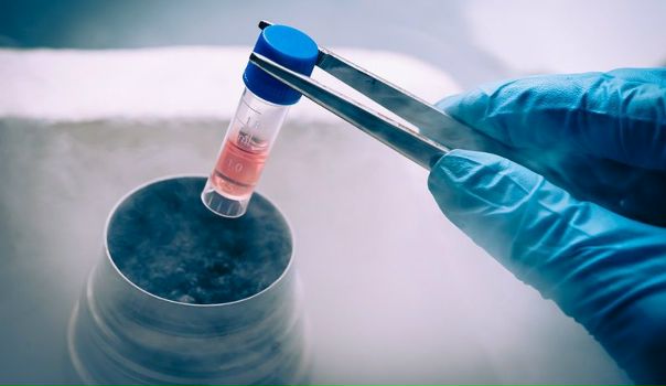 Стволовые клетки помогут победить диабет