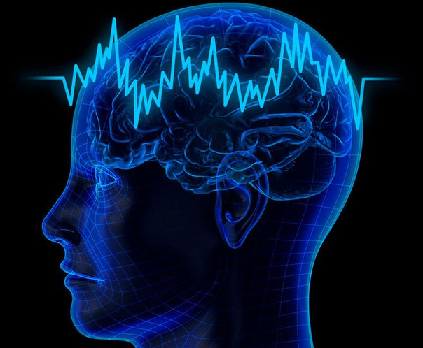 Новый метод поможет предсказать эпилептические приступы 