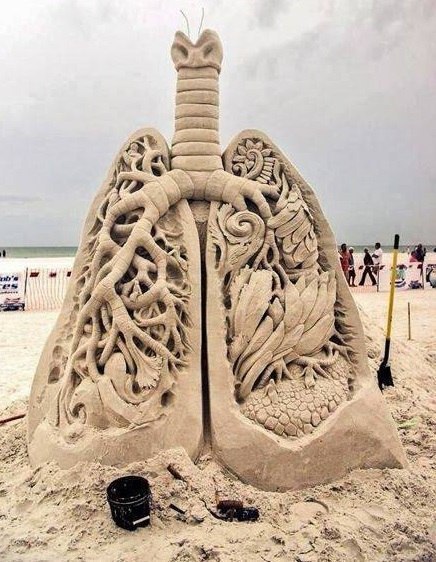 Вдохновение здоровьем! 