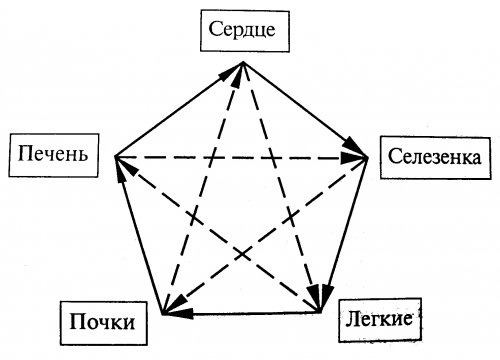 Тибетская медицина – конституция желчи 