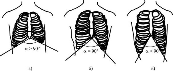 Конституциональным типы телосложения форма грудной клетки: