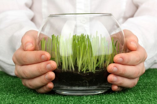 Чистый воздух повсюду 