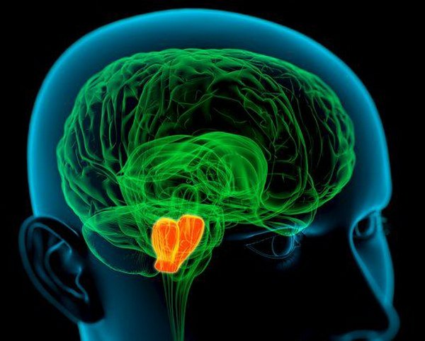 5 способов стать умнее 