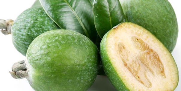 Смесь фейхоа с медом - прекрасный источник йода 