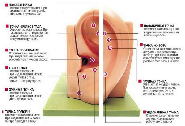 Вы устали Все валится из рук, голова не работает и настроение никакое 