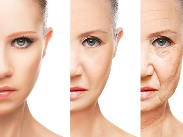 Механизмы старения 