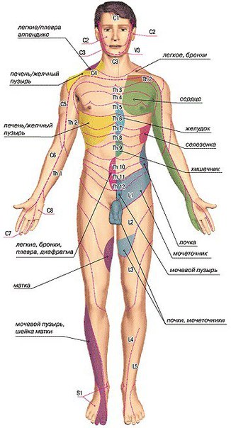 Феномен триггерной точки. 