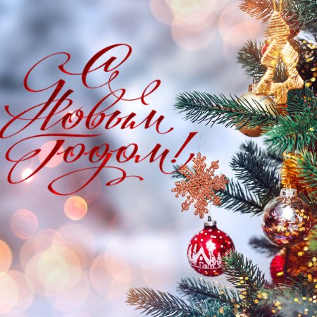 Дорогие друзья! 