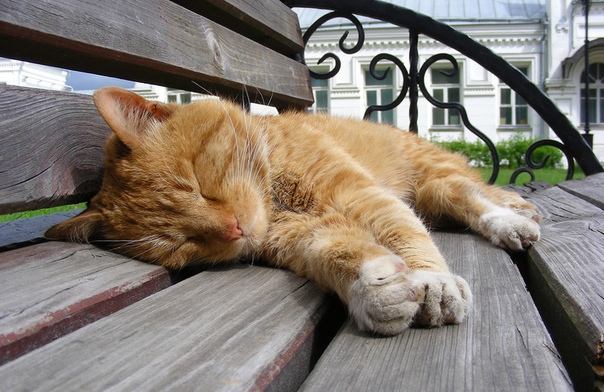 Расслабление. Кому и зачем это нужно 