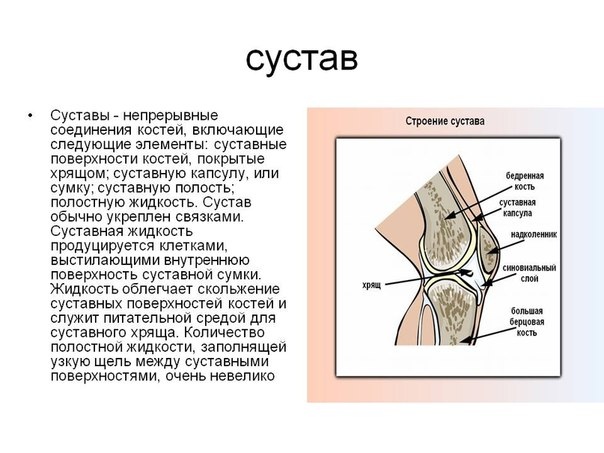 7 мифов о боли в суставах. 