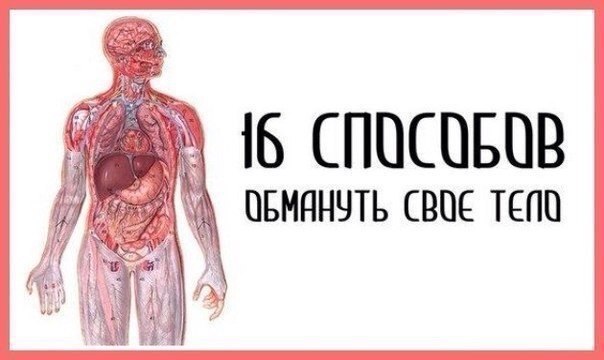 16 способов обмануть свое тело 