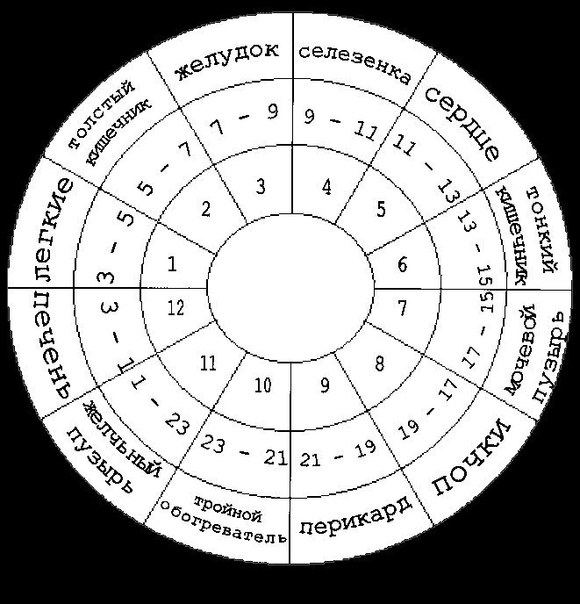 Часы работы нашего организма 