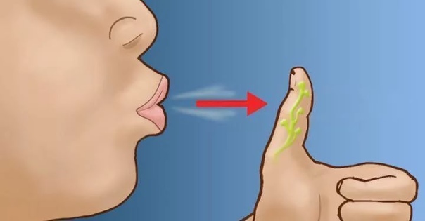 Секреты управления организмом 