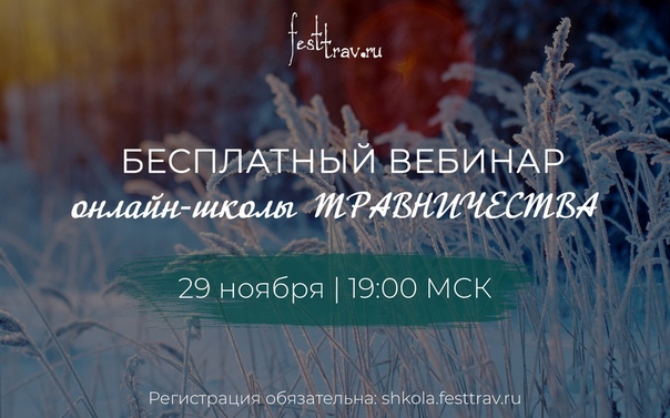  Начало обучения ближайшей группы в онлайн-школе травничества уже 1 декабря! 