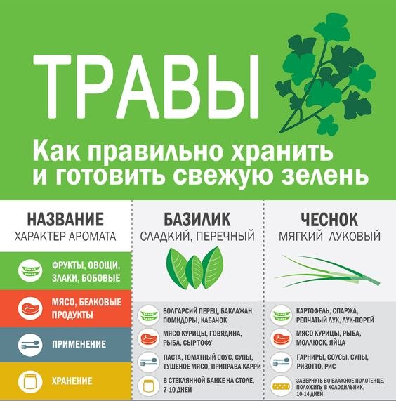 Какая зелень самая полезная 
