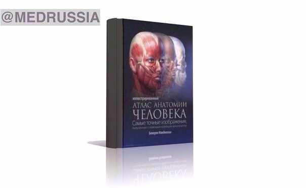 «Иллюстрированный атлас анатомии человека» Беверли МакМиллан, 2009