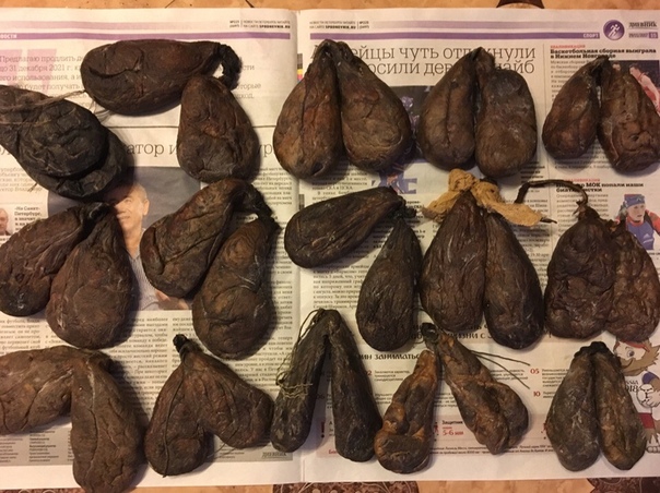 В продаже качественная Бобровая струя с Алтайского края,от охотника