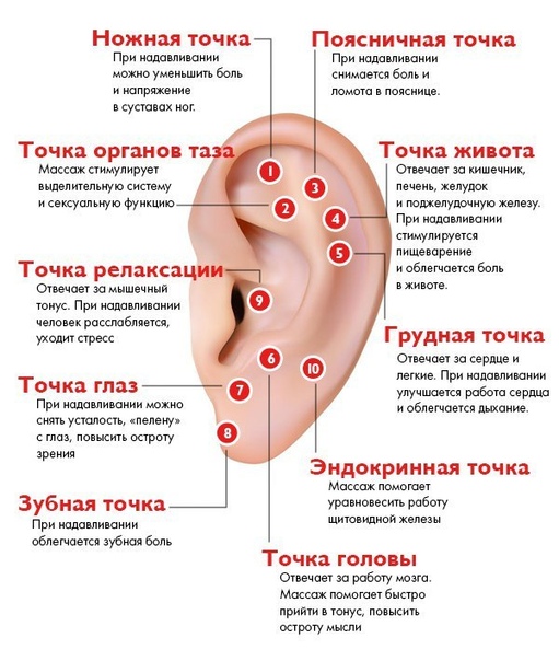 Зарядка для ушей бодрит не хуже, чем чашка кофе!  