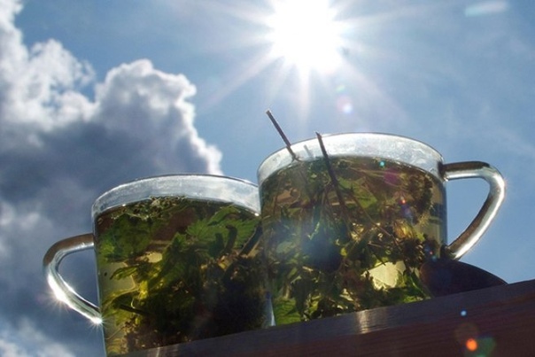 ЧАЙ ПРОТИВ ДНЕВНОЙ СОНЛИВОСТИ! 