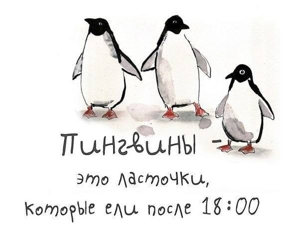 Что можно есть после 6 вечера 