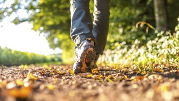 Почему нужно больше ходить 