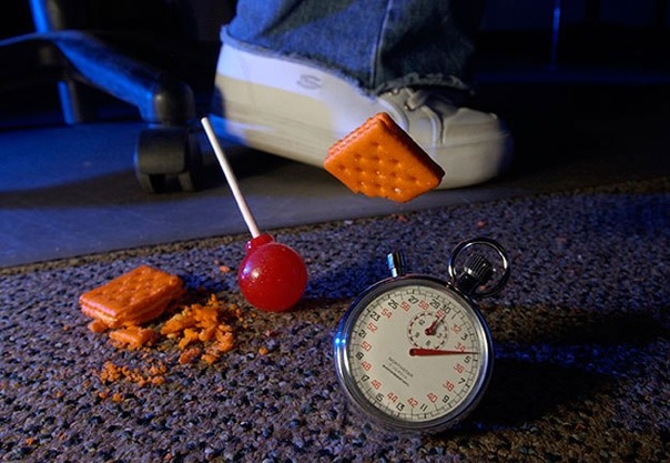 Можно ли утверждать, что быстроподнятая еда не считается упавшей 