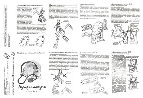 Аускультация. Заболевания легких.