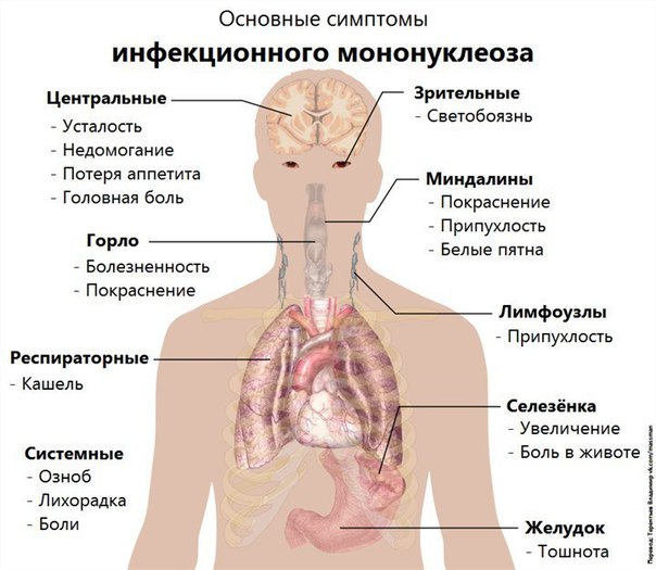  - Лучший друг отличного врача!