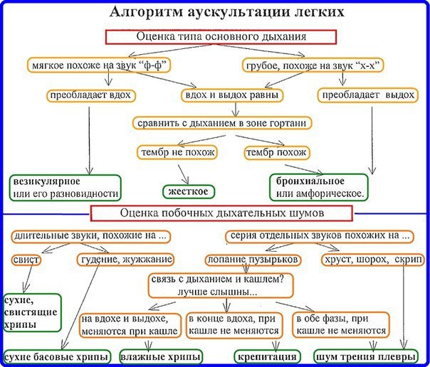  - Лучший друг отличного врача!