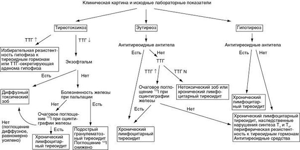 Тиреотоксикоз (thyreotoxicosis; анат. /glandula/ thyreoidea щитовидная железа + греч. toxikon яд + -sis) — клинический синдром, обусловленный длительным повышением концентрации тиреоидных гормонов в крови и тканях.