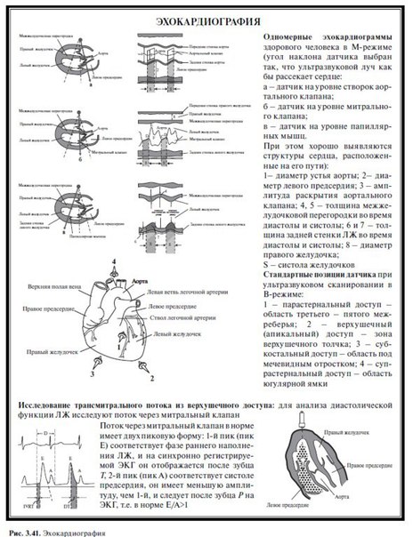 Основы диагностики и частной патологии органов кровообращения.