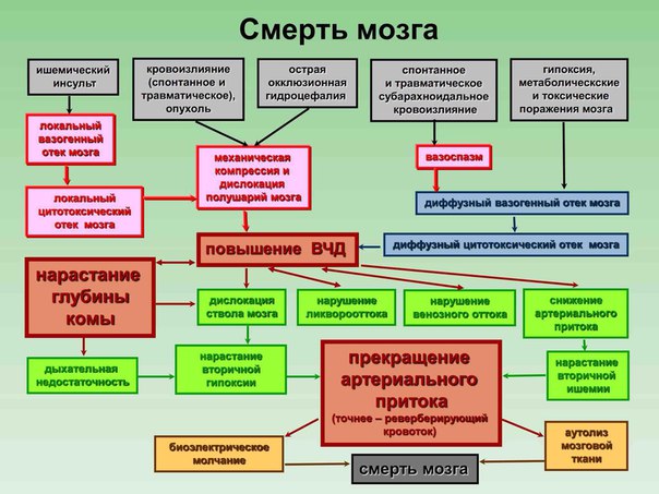   - лучший друг отличного врача! 
