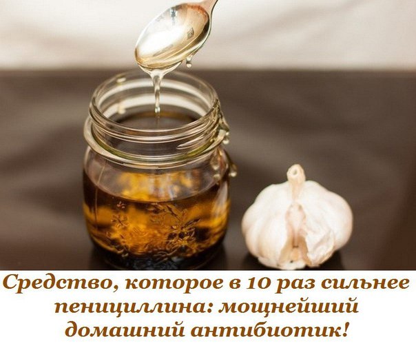 Средство, которое в 10 раз сильнее пенициллина: мощнейший домашний антибиотик! 