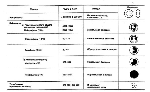 Обозначения в ОАК (на стену):
