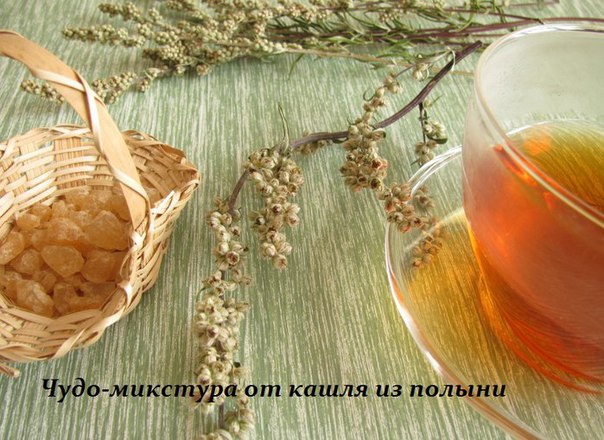 Чудо-микстура от кашля из полыни 