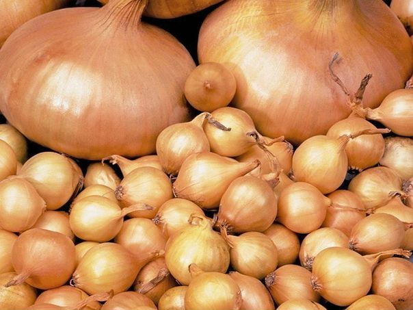 Народный рецепт для лечения почек 
