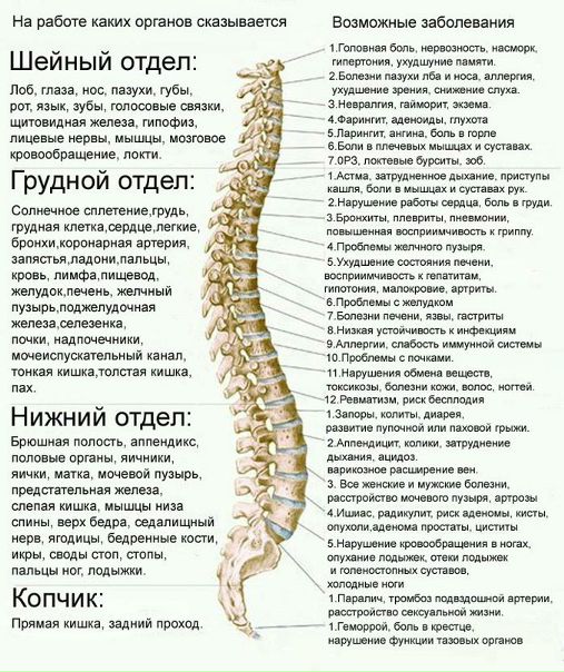Пройди тест состояния здоровья своего позвоночника 