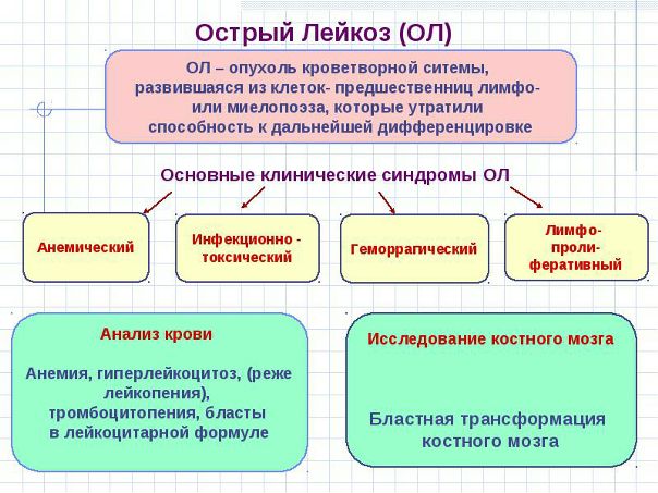 Острый лейкоз — форма лейкозов, при которой морфологический субстрат опухоли представлен бластными клетками. 